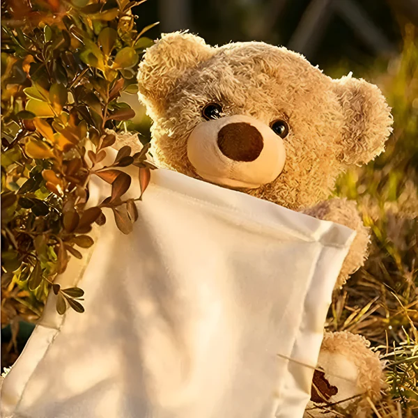 Peek-A-Boo Teddy Bear