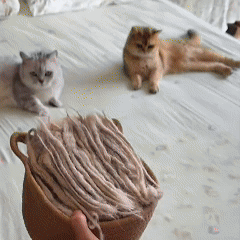 Uno® Fur-Free Pet Hair Removal Glove