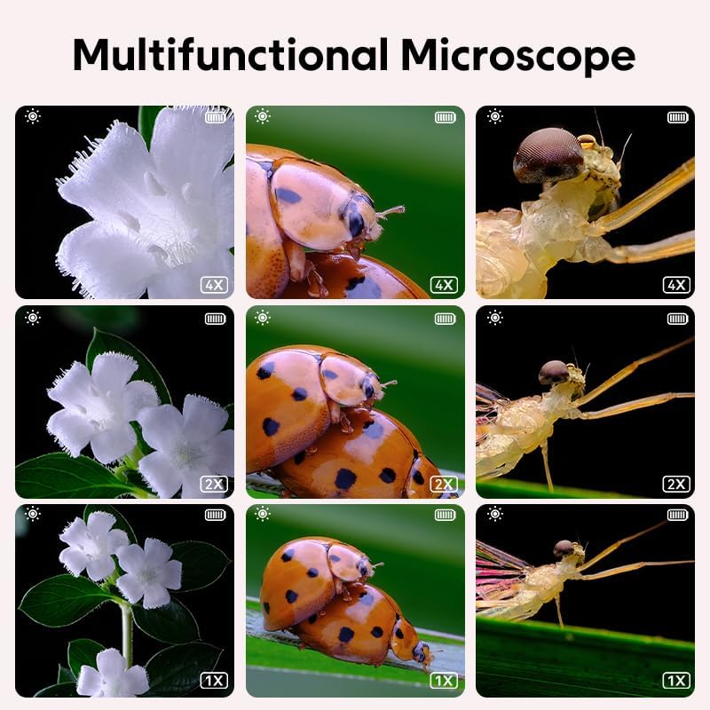 The Kids Microscope