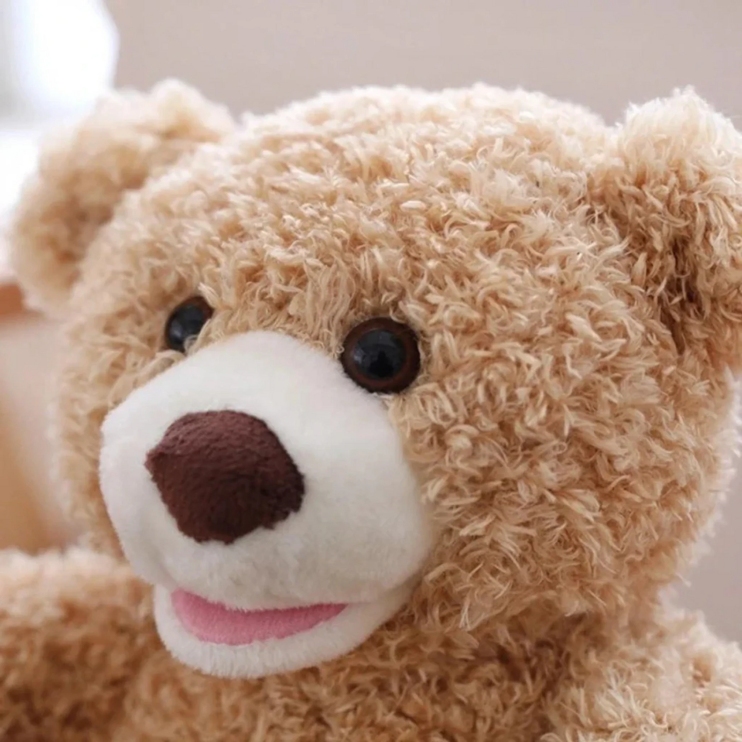 Peek-A-Boo Teddy Bear